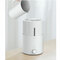 Увлажнитель воздуха Deerma Air Humidifier 5L DEM-SJS600